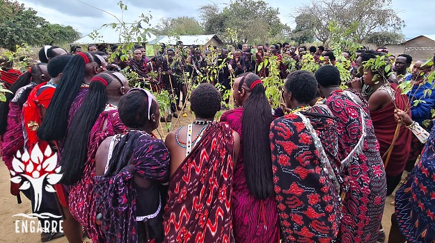 festive Masaii show
