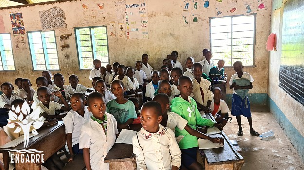 primary school tanzania, classroom full of children