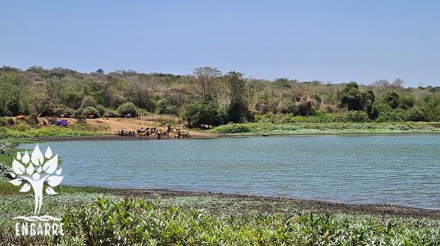 jazero s vodou v afrike, tanzánii