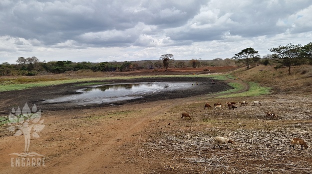 buldozéry opravujú priehradu v Tanzánii