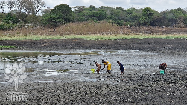 deti naberajú vodu z bahnitého jazera