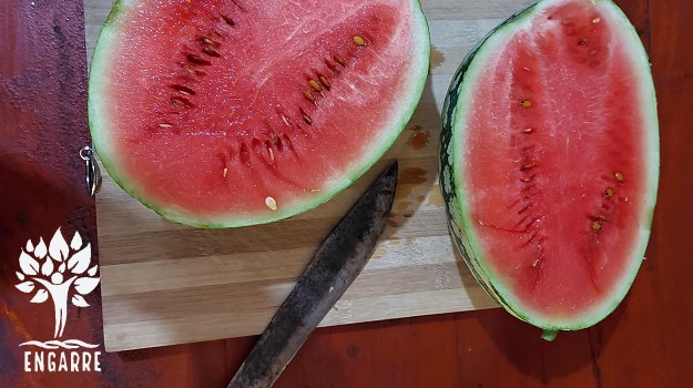rozkrojený melón v tanzánii
