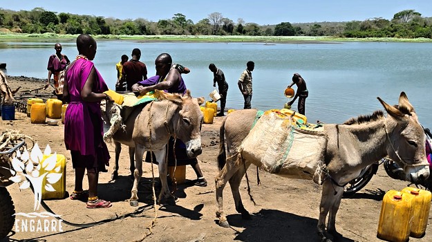 masajské ženy nakladajú vodu na somáre